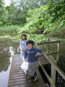 Pond next to the summer cottage - northern Zealand