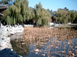 More pictures of the small lake