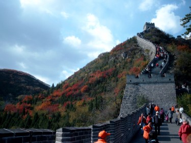 Autumn colours along the wall