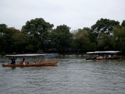 Small motor driven boats