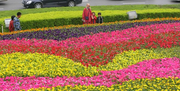 Flowers in front of the Bell Tower