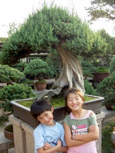 The Humble Administrators Garden - Yanmei and Daji in the Bonsai Garden