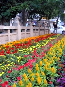 Downtown Suzhou