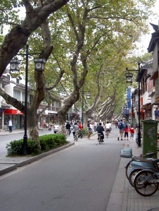 Main street next to the MAster of Nets Garden