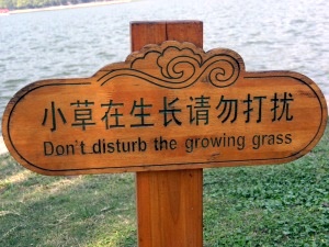 Scenes from West Lake - sssshhh