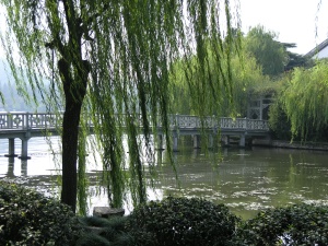 Scenes from West Lake