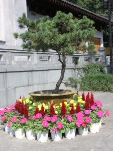 The Leifeng Pagoda