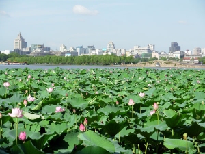 View towards Hamgzhou