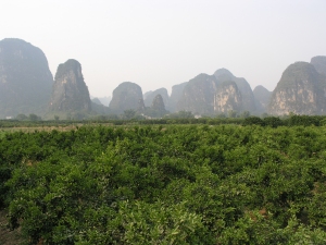 Scenes from the Yangshou countryside