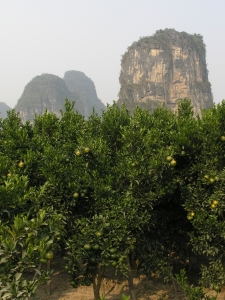 Scenes from the Yangshou countryside