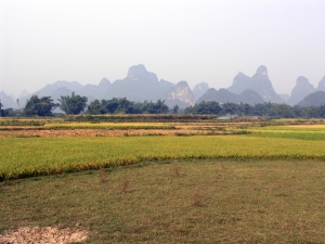 Scenes from the Yangshou countryside