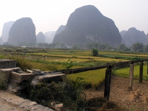 Scenes from the Yangshou countryside