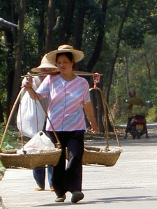 Transporting things home from the market