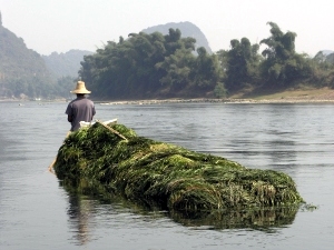 Scenes from the Li River