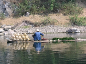 Scenes from the Li River