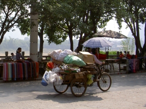 Driving their goods to the market stall