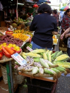 Multi-coloured corn!