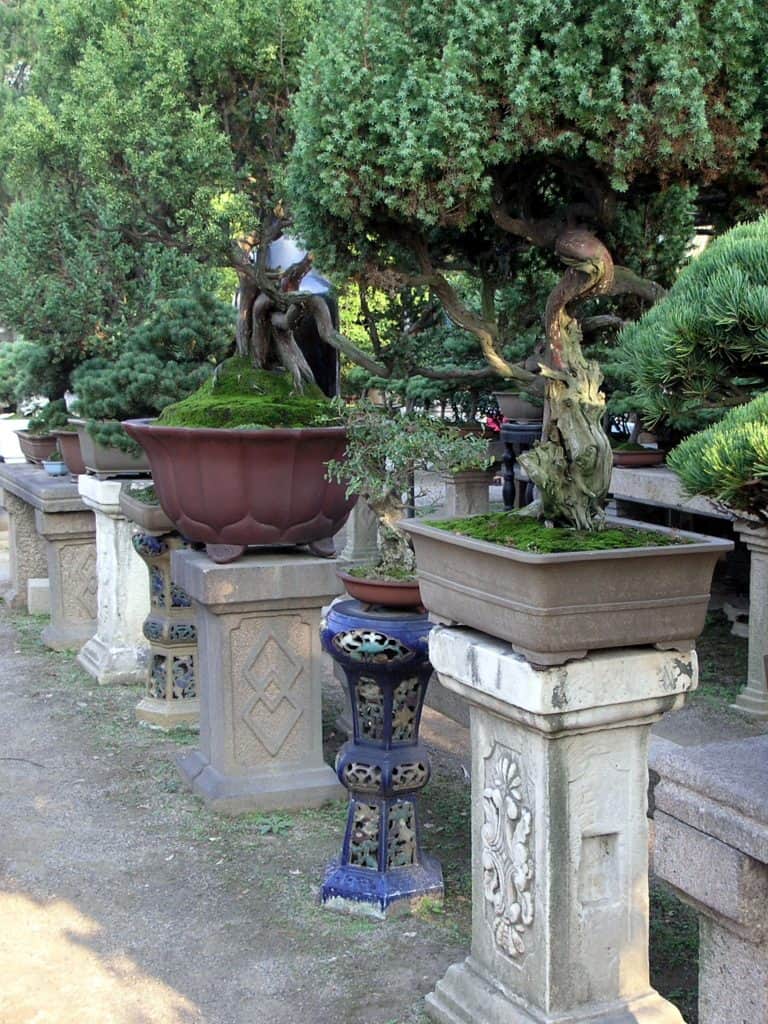 The Humble Administrators Garden