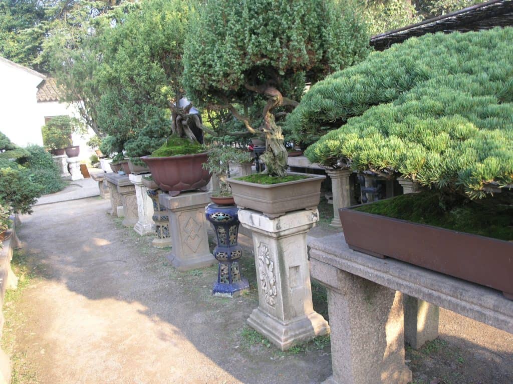 The Humble Administrators Garden