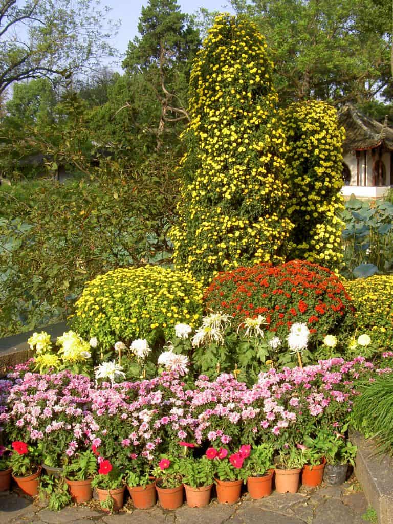 The Humble Administrators Garden