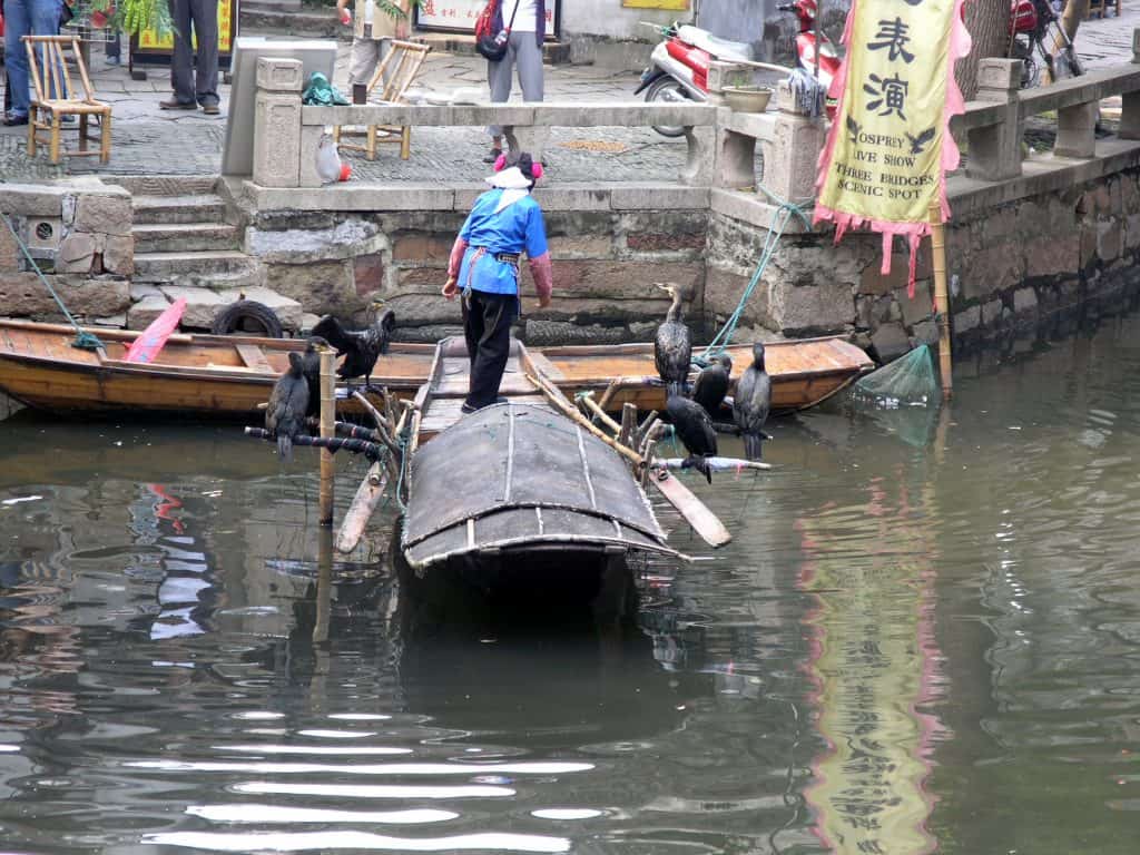 Tongli