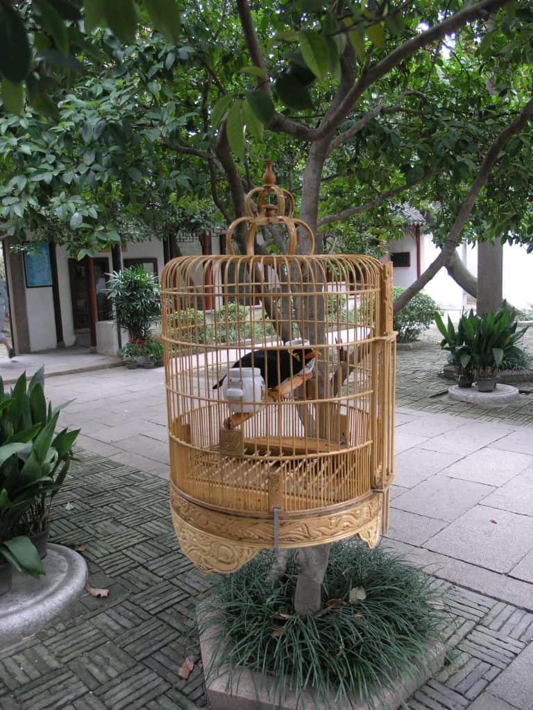 Master of Nets Garden