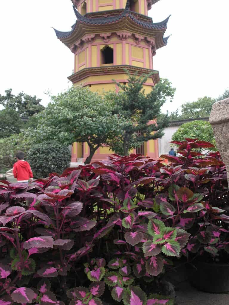 Luohanyuan Shuangta And Zhengdian Relic Site