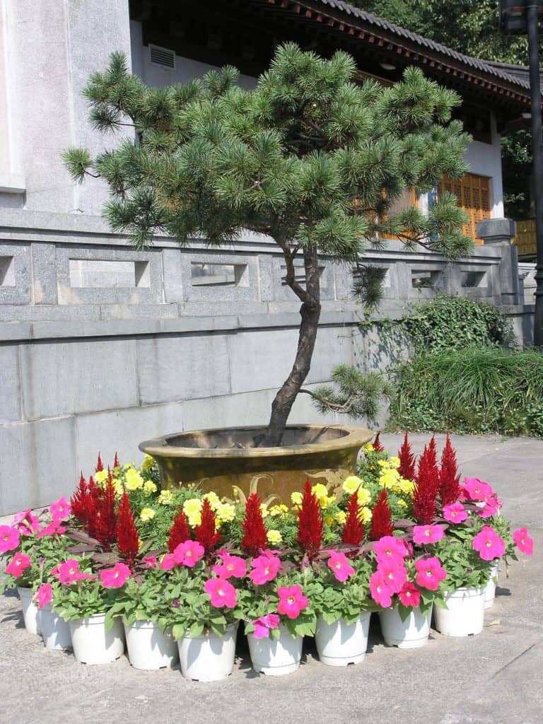 Hangzhou, West Lake
