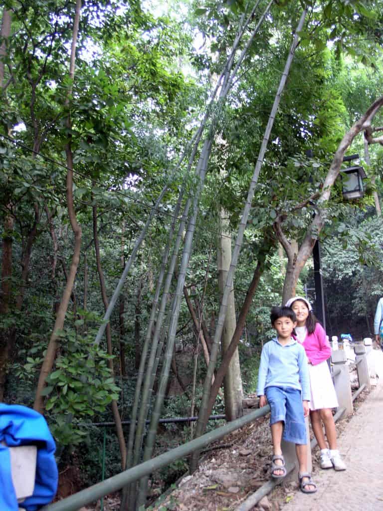 Hangzhou, Lingyin Temple
