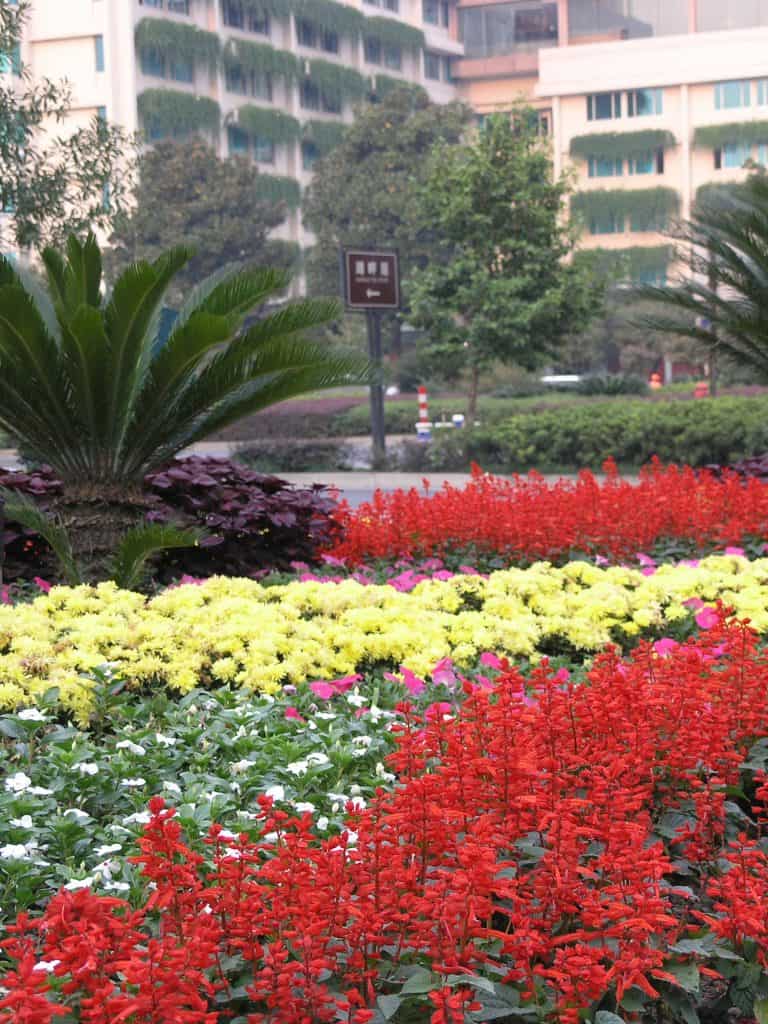 Hangzhou
