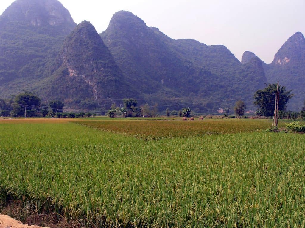 Yangshou