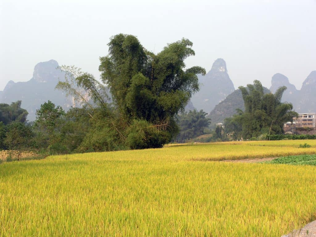 Yangshou