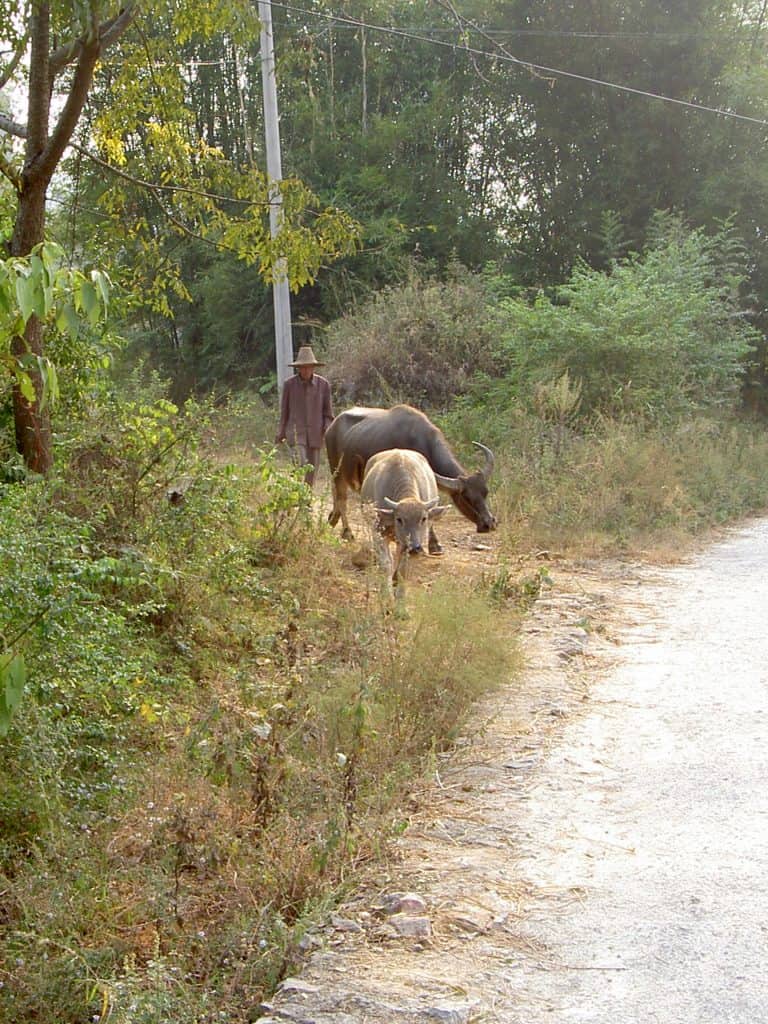 Yangshou