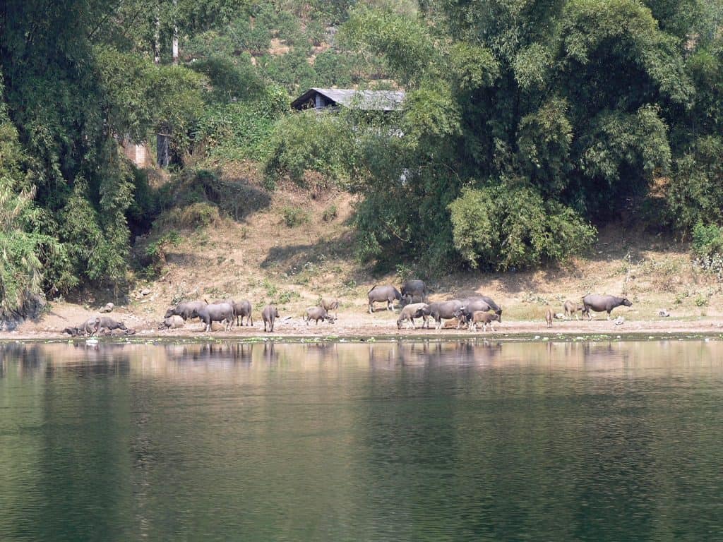 Yangshou, Li River