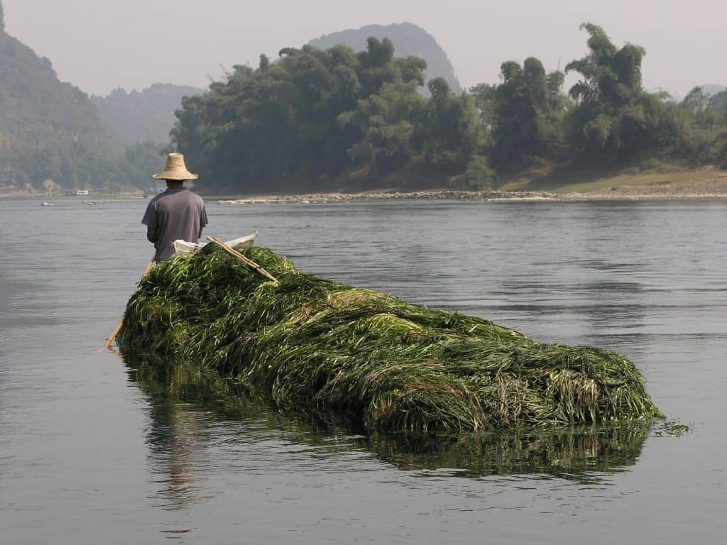 Yangshou, Li River