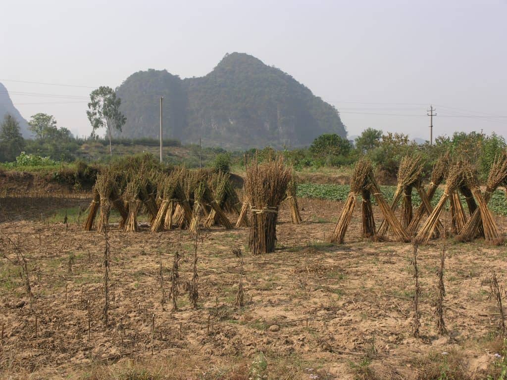 Yangshou