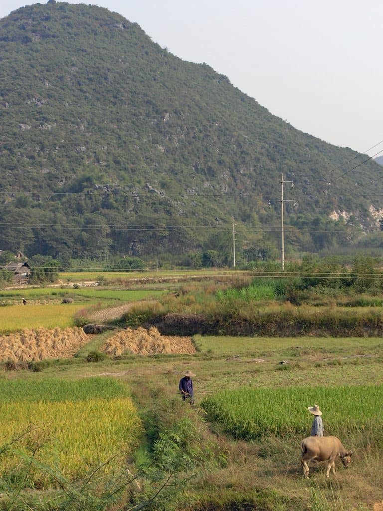 Yangshou
