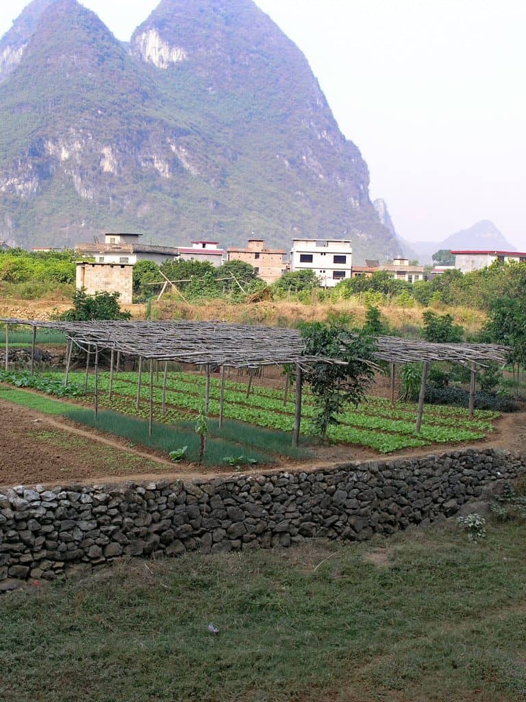 Yangshou
