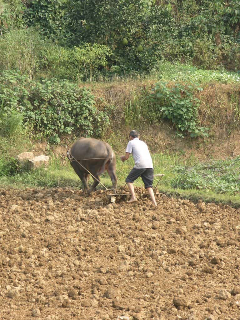 Yangshou