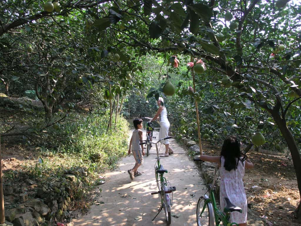 Yangshou