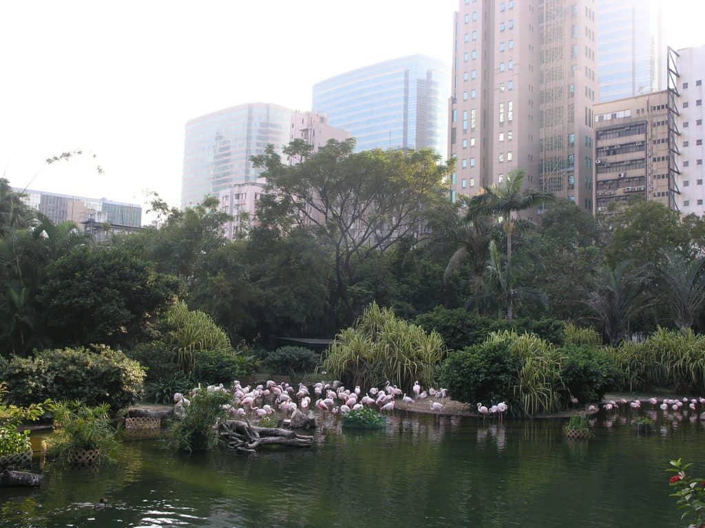 Hong Kong